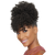 Eve Fringe Ponytail - Jazz