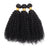 Kinky Curly Bundles
